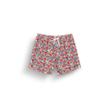 Aster Print