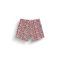 PIAU 15 PRINTED BRDS __color:Aster_Print#9