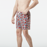 Aster Print