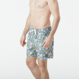 Myosotis Print