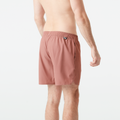 PIAU 15 BRDS __color:Burlwood#13
