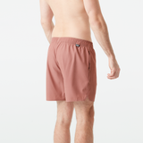 PIAU 15 BRDS __color:Burlwood#13