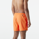 PIAU 15 BRDS __color:Dusty_Orange#18