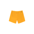 PIAU 15 BRDS __color:Blazing_Orange#11