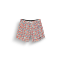 Aster Print