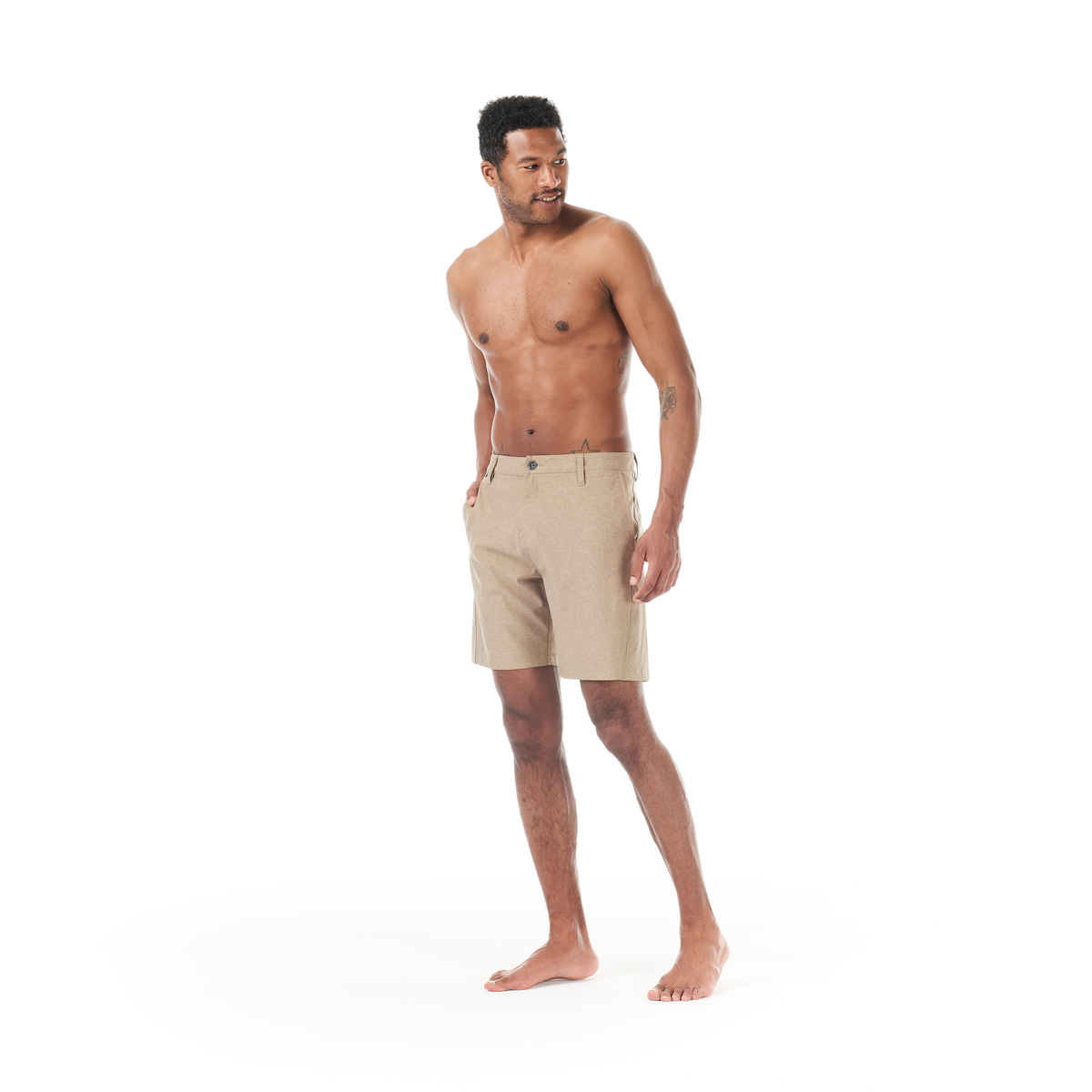 PODAR HYBRID 19 BRDS __color:Partridge#8