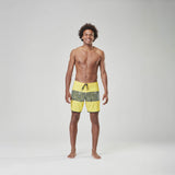 ANDY 17 BRDS __color:Lemon_Drop#29