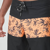 ANDY 17 BRDS __color:Black#8