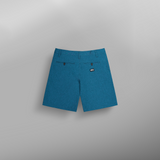 PODAR HYBRID 19 BRDS __color:Roc_blue#20