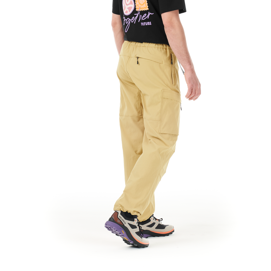 HAVOR CARGO PANTS __color:Lark#13