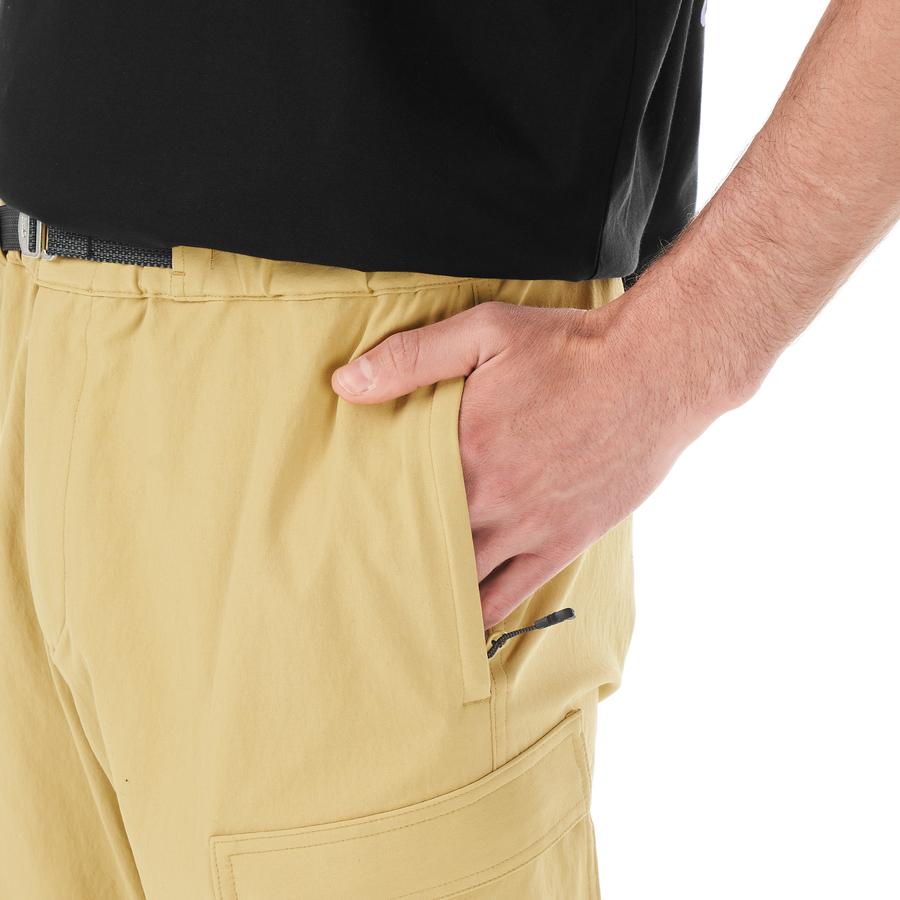 HAVOR CARGO PANTS __color:Lark#15