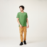 Spruce yellow