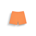 BASEMENT SHORTS __color:Dusty_Orange#11