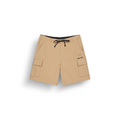 ALPHO SHORTS __color:Dark_Stone#10