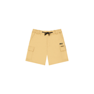 ALPHO SHORTS __color:Lark#14