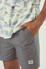 DAVERSON SHORTS __color:Tornado#19