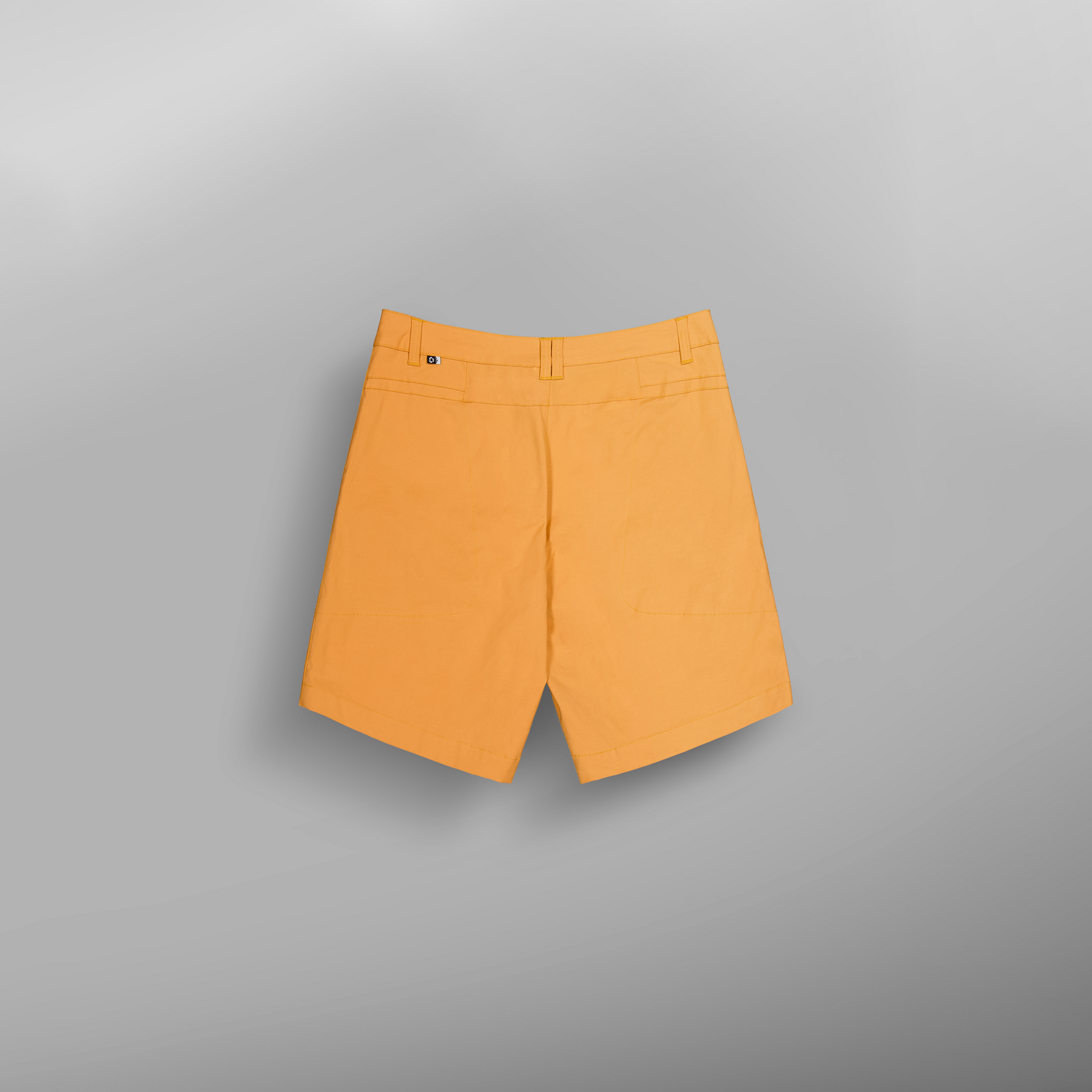 ROBUST SHORTS __color:Spruce_yellow#15