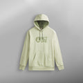 BASEMENT FLOCK HOODIE __color:Desert_Sage#32