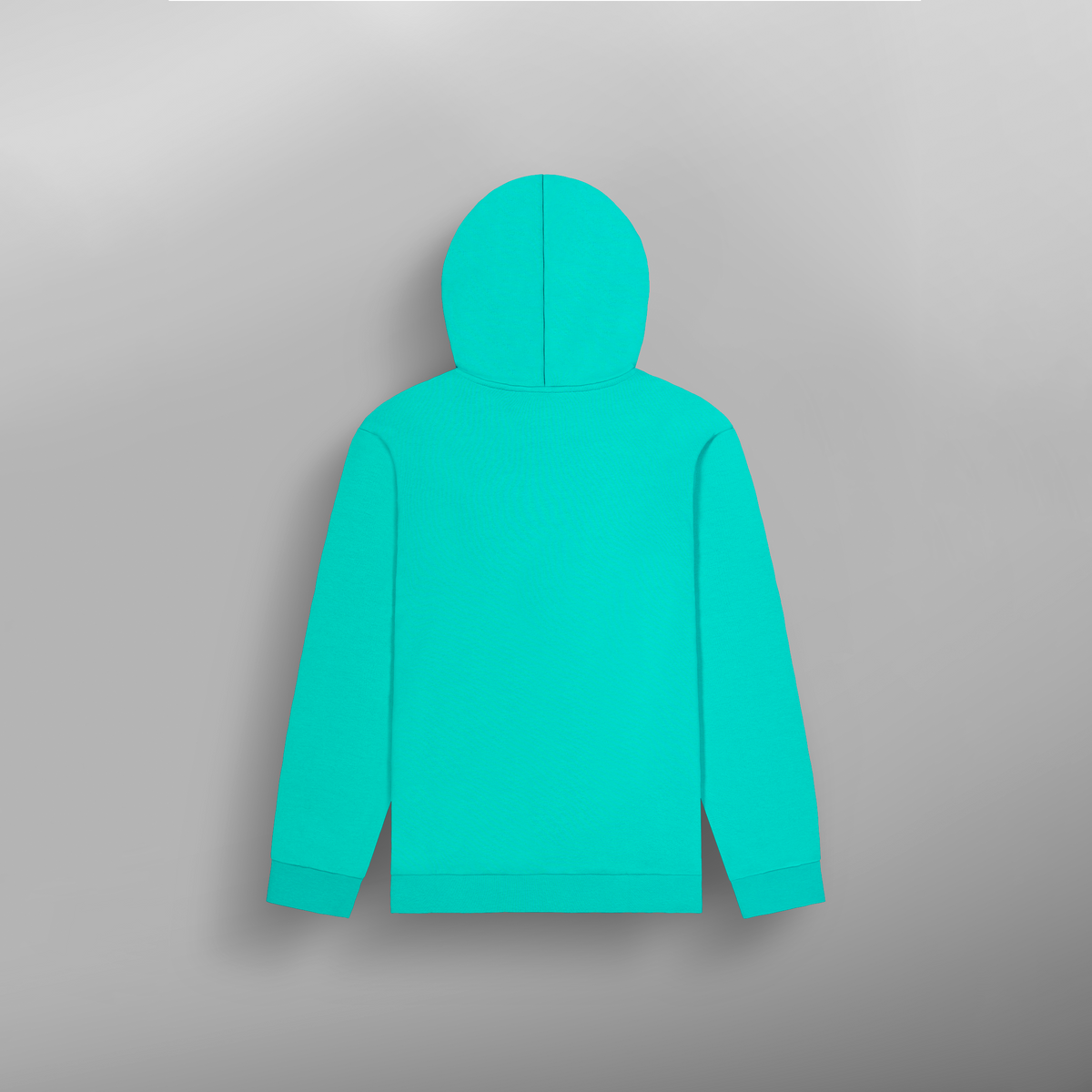 BASEMENT CORK HOODIE __color:Spectra_Green#66