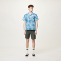 Island Print