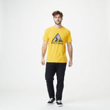 Spectra Yellow