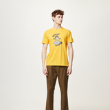 Spectra Yellow