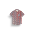 Aster Print