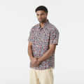 Aster Print