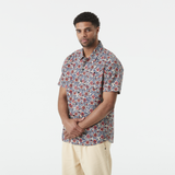 Aster Print