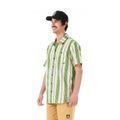 Greenstripes Print
