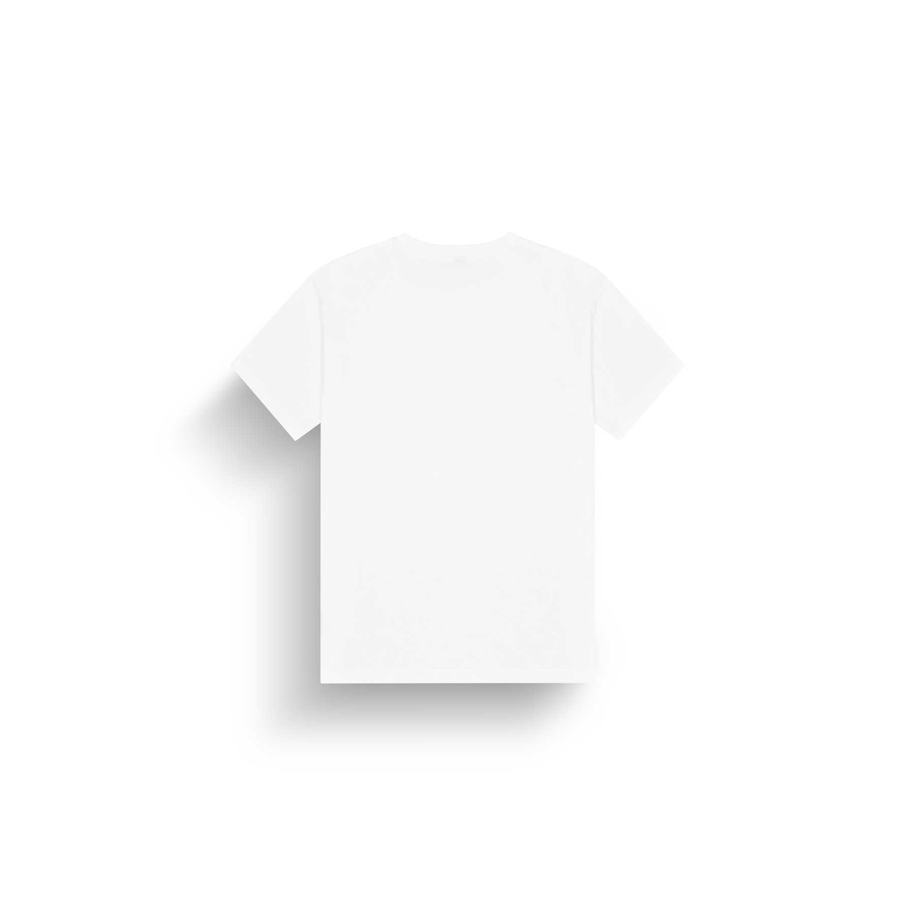 BASEMENT ASTER T __color:White#9