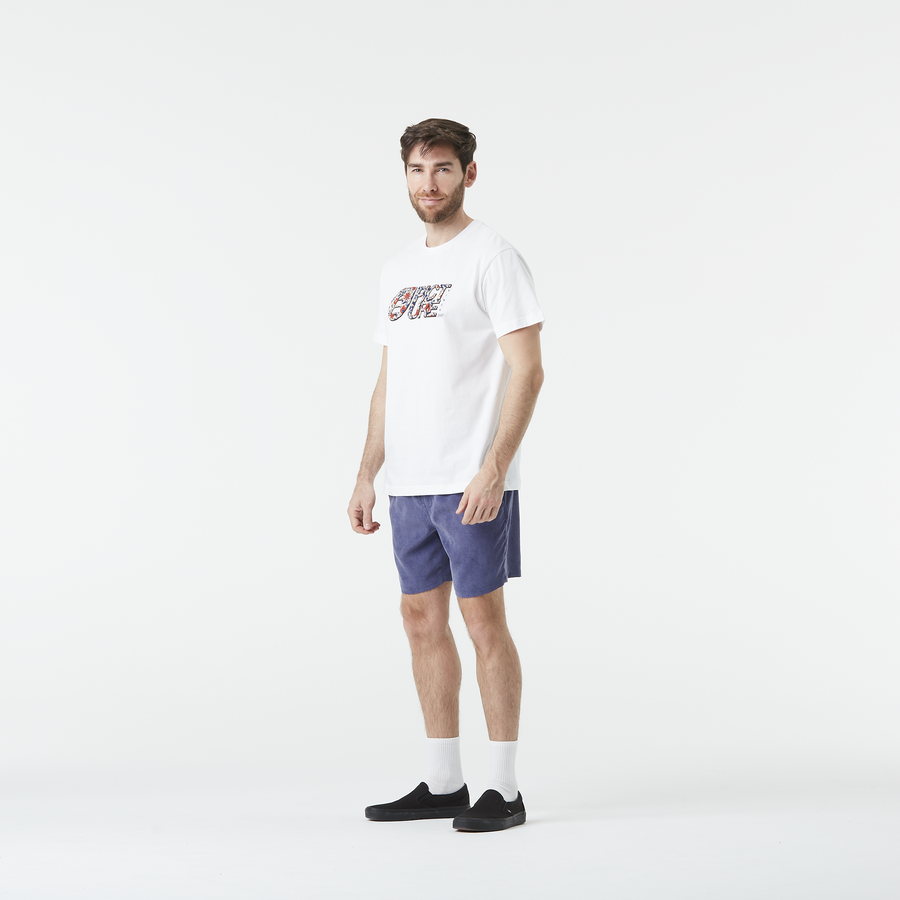 BASEMENT ASTER T __color:White#5