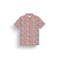 Aster Print