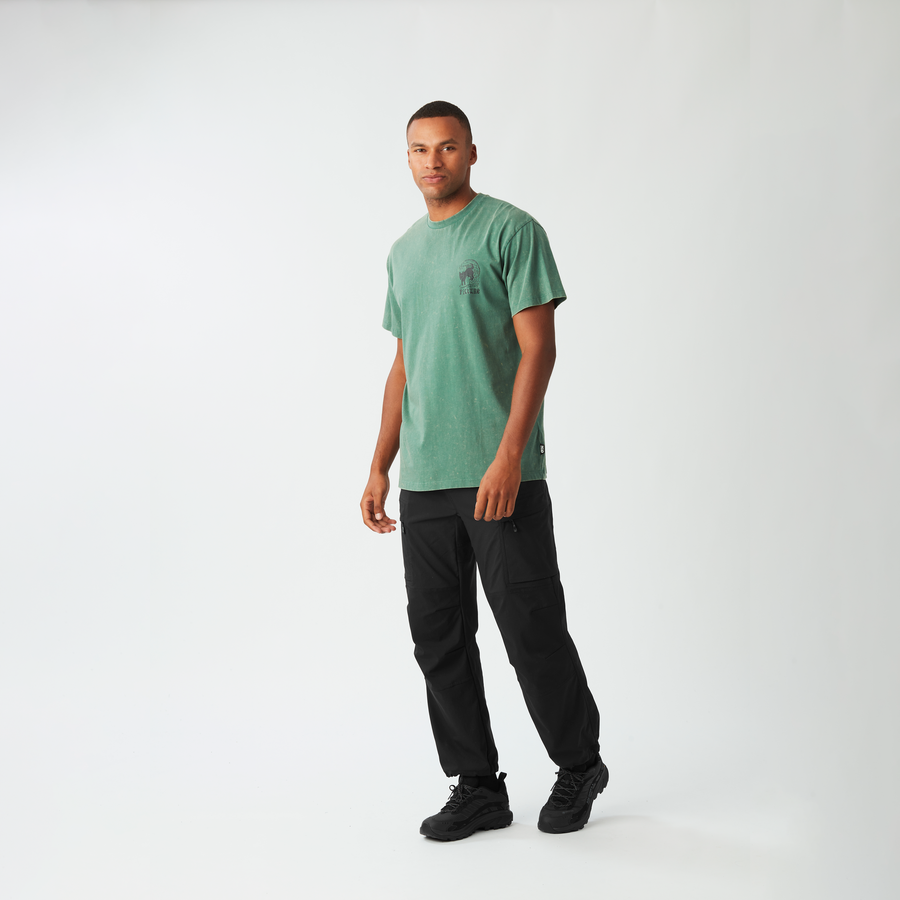 PICTURIDE TEE __color:Smoke_Pine_Washed#23