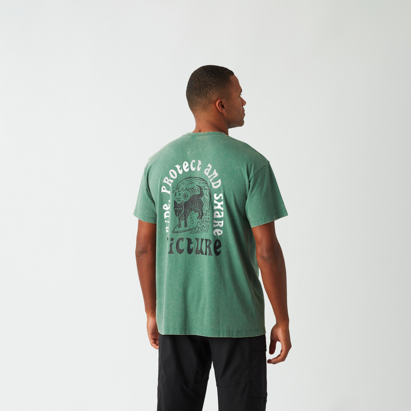T-shirt homme PICTURIDE