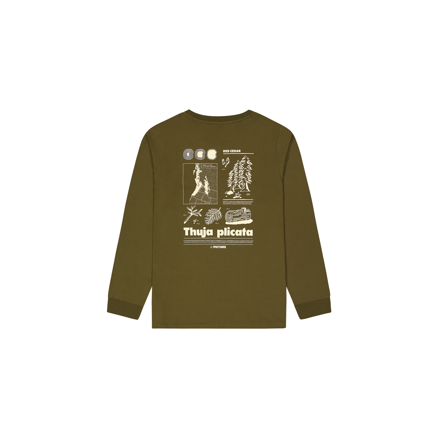 PEMBROKE LS TEE __color:Tobacco_Washed#13