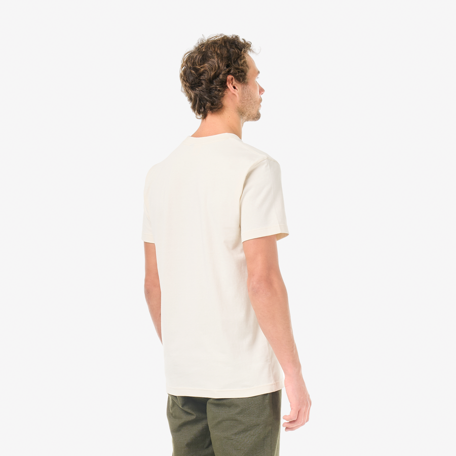 D&S BEEAR TEE