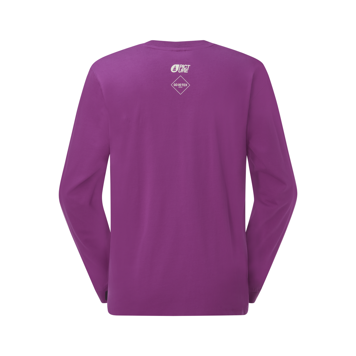 PICTURE X GTX LS TEE __color:Clover#6
