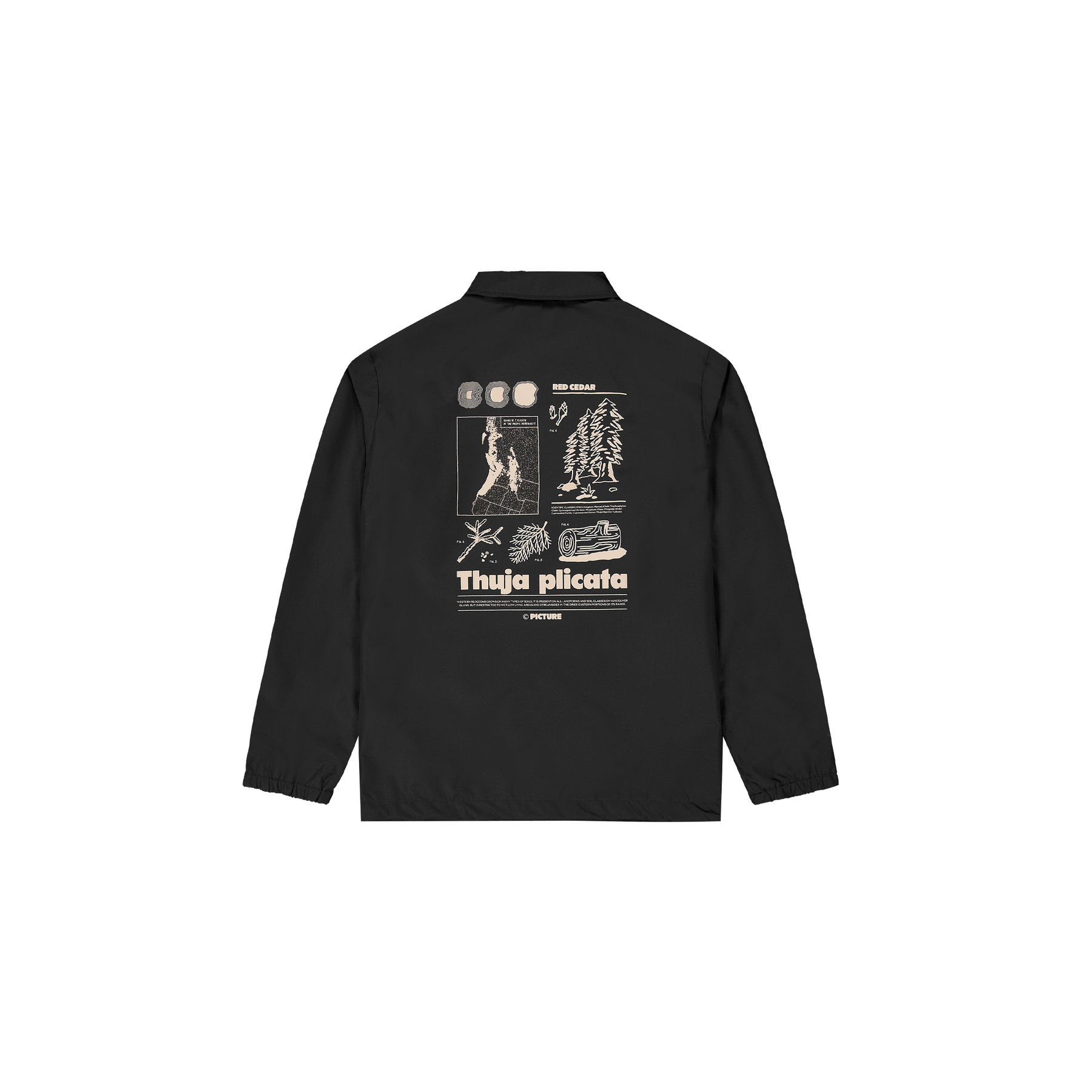 KOACHY JKT __color:Black#10