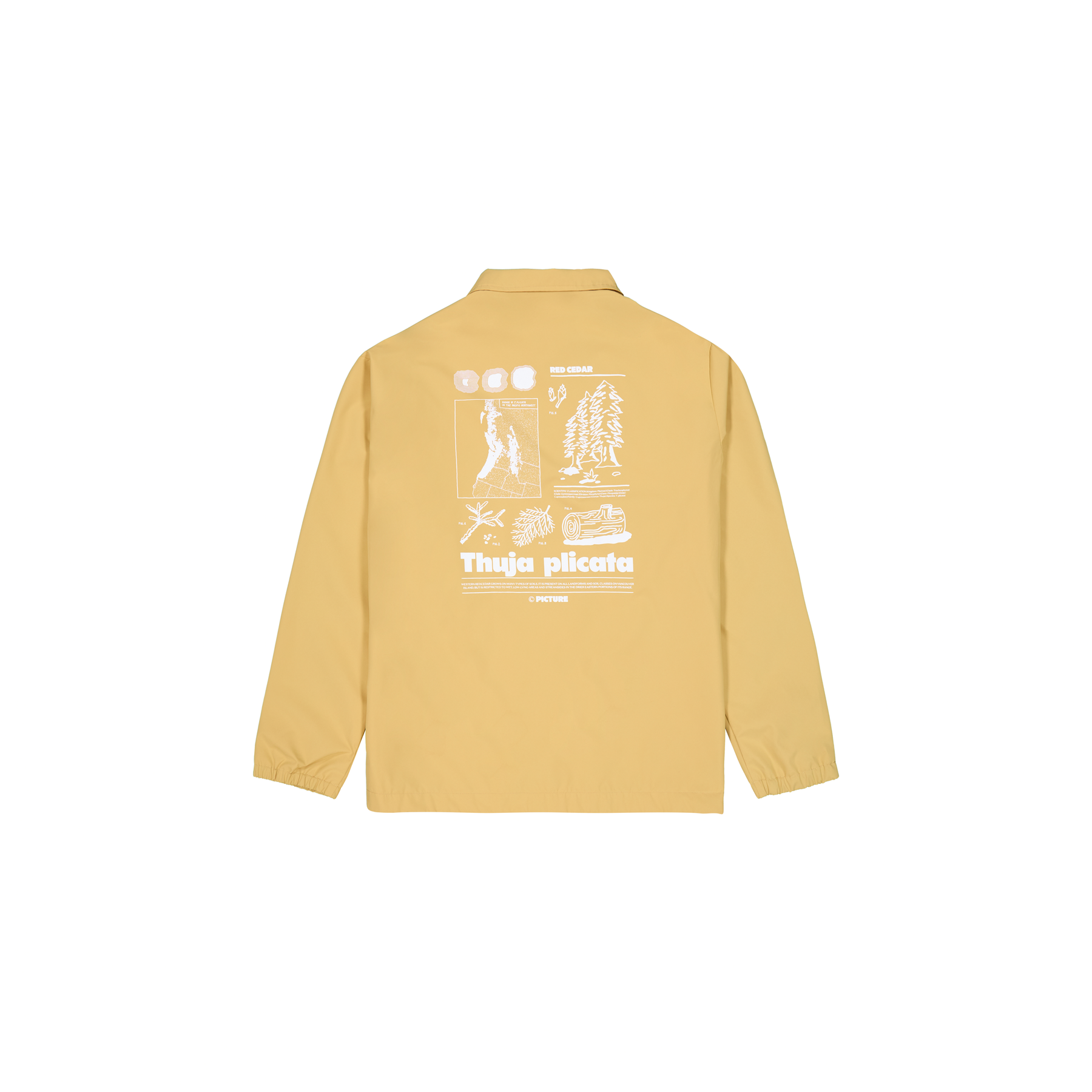 KOACHY JKT __color:Lark#20