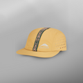 Spruce yellow