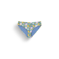 Myosotis Print