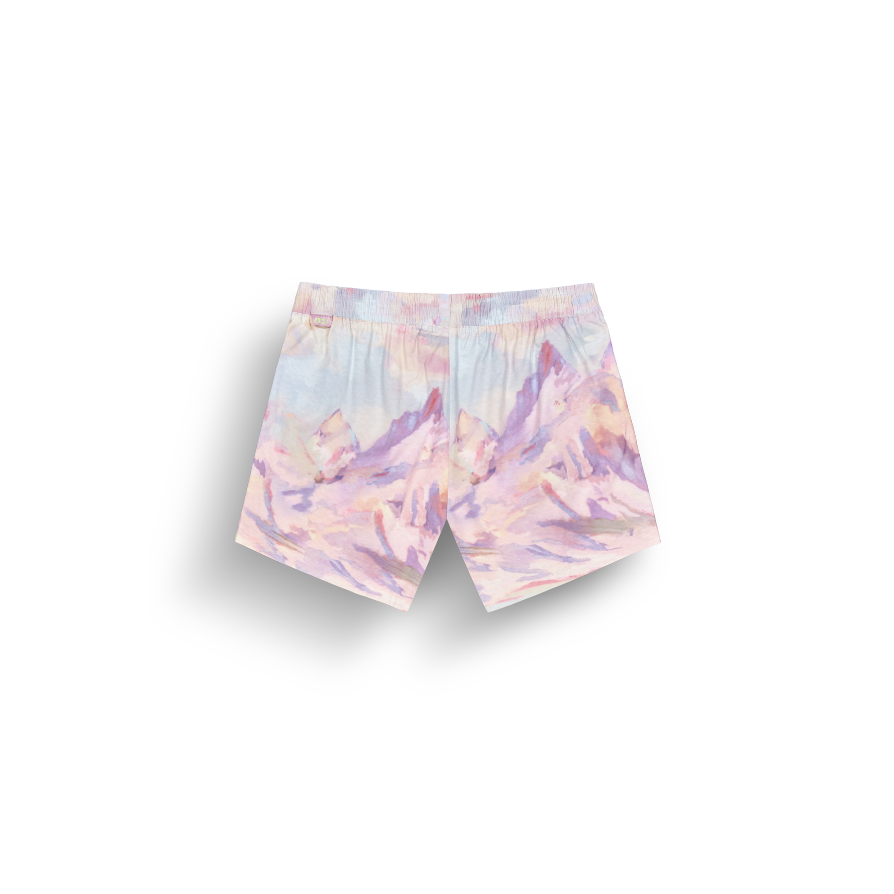 OSLON PRINTED TECH SHORTS __color:Montanea_Print#6