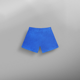 CAREL SHORTS __color:Skydiver#23
