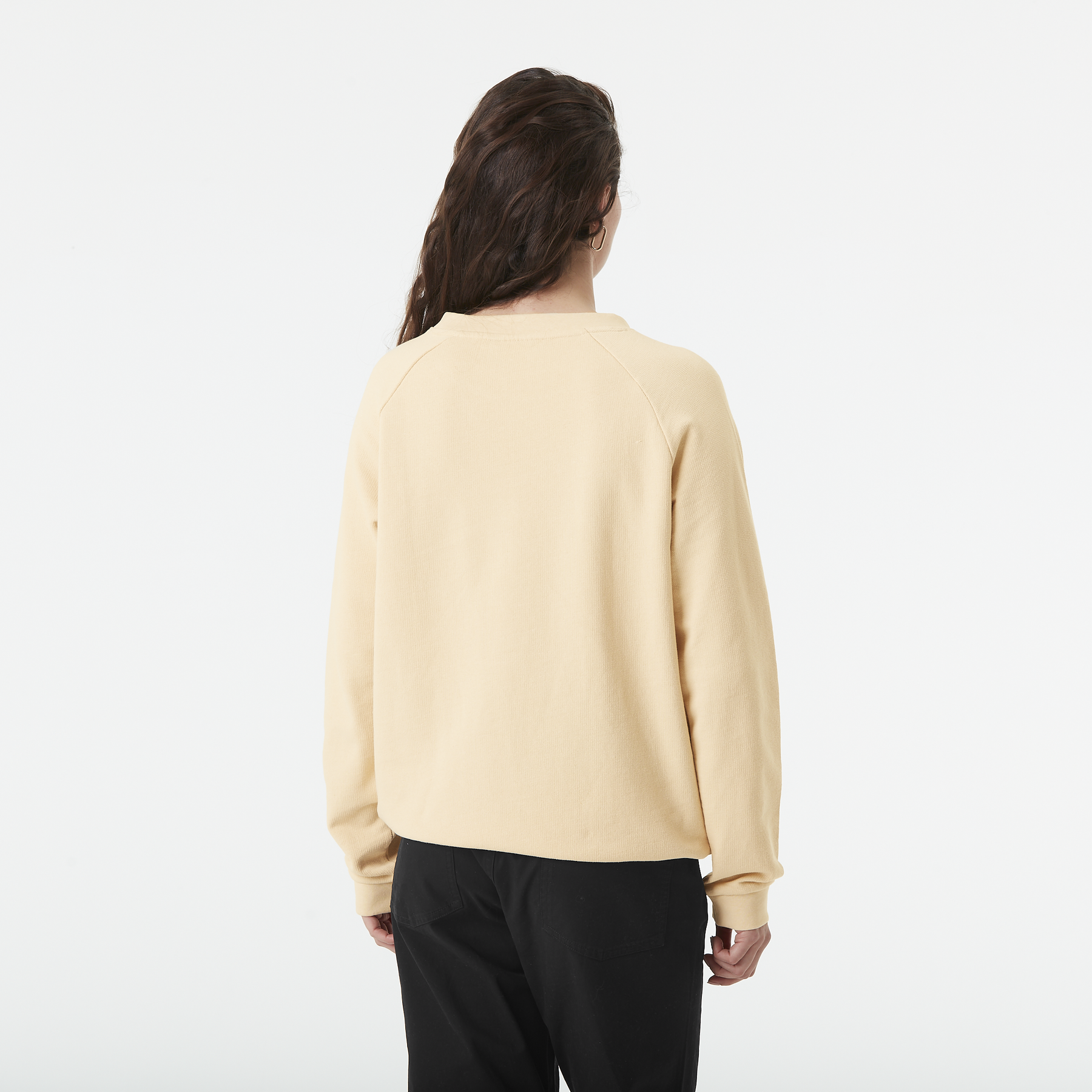 HAMPY CREW __color:Wood_Ash#2