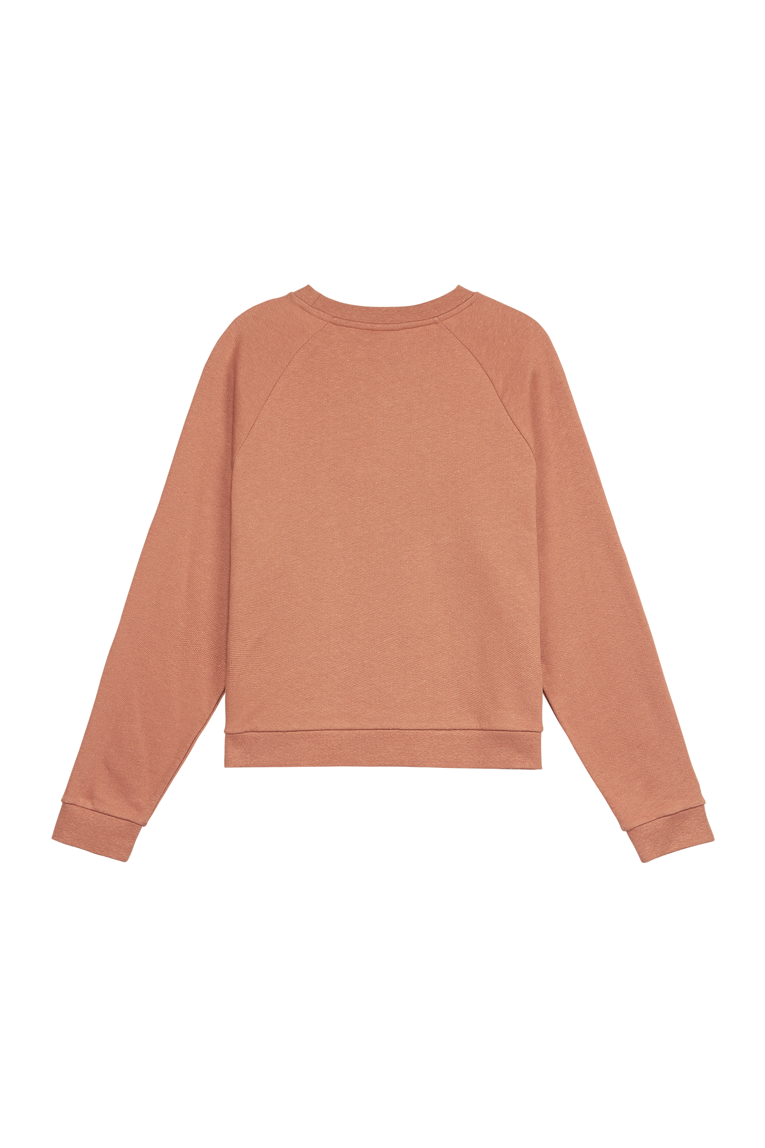 HAMPY CREW __color:Cedar_Wood#6