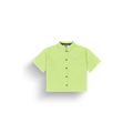 Sap Green