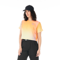Gradient Print